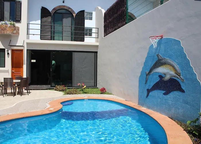 Triskel Delfin