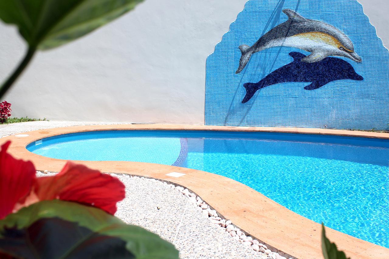 Triskel Delfin * Cozumel